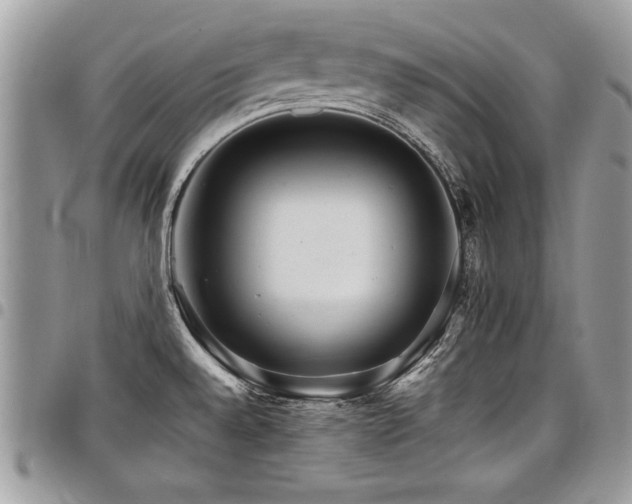 X0000098041528200803281420
