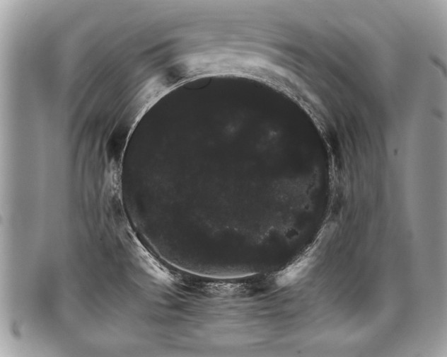 X0000098041529200803281420