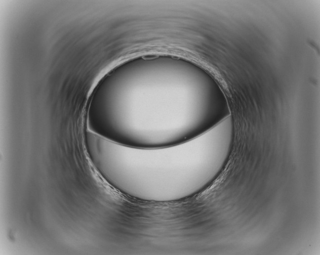 X0000098041530200803281420