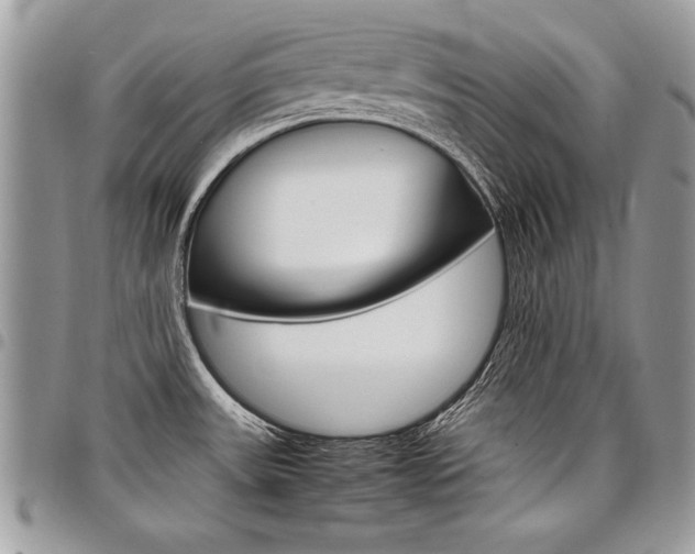 X0000098041531200803281420