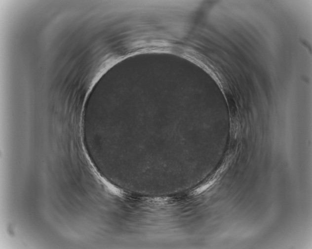 X0000098041533200803281420