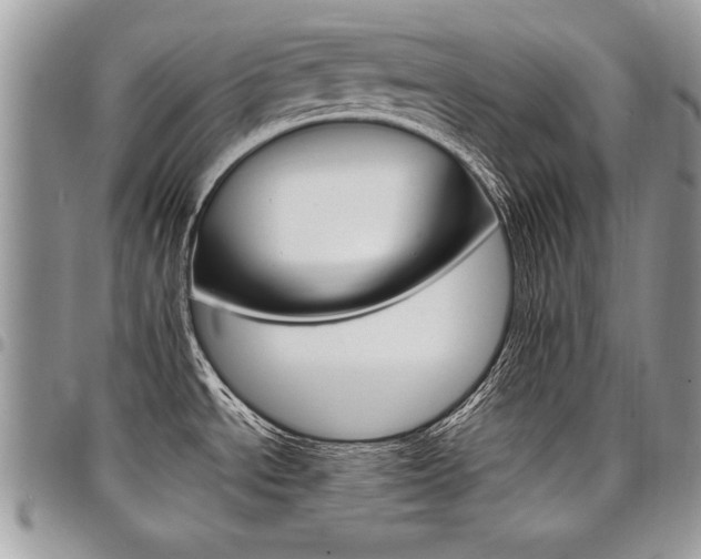 X0000098041534200803281420