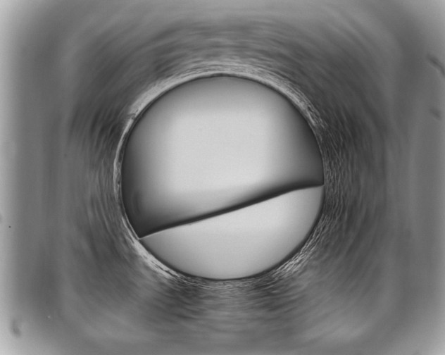 X0000098041535200803281420