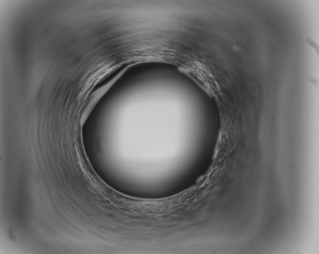 X0000098040001200804071453