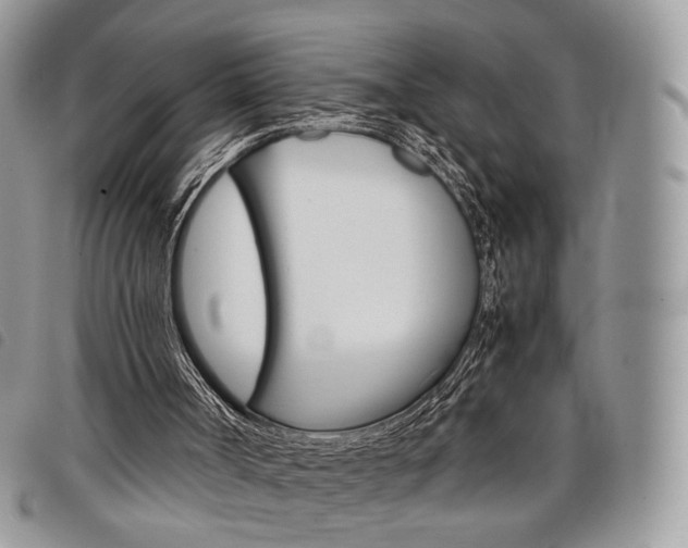 X0000098040002200804071453