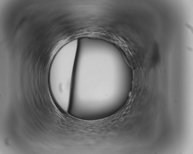 X0000098040003200804071453