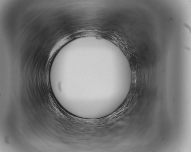 X0000098040004200804071453