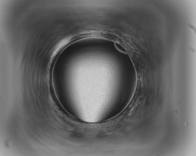 X0000098040006200804071453