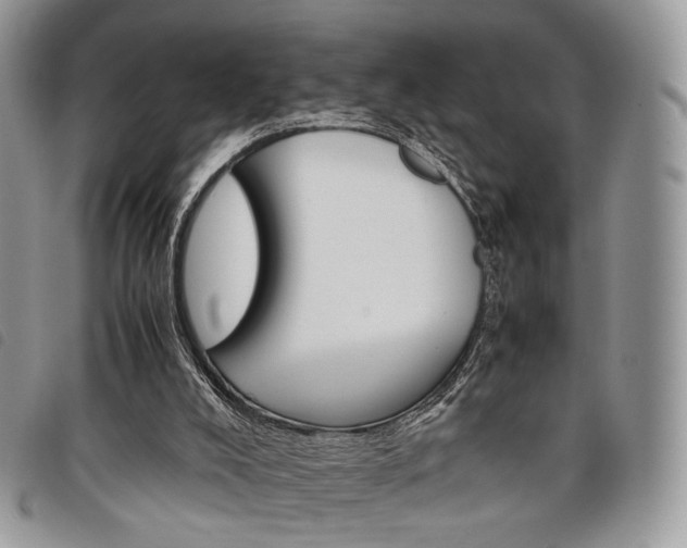 X0000098040008200804071453
