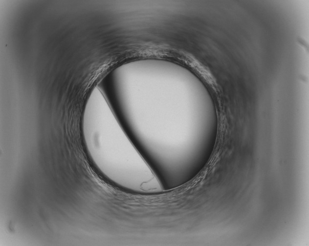 X0000098040009200804071453