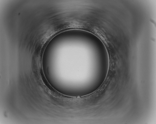 X0000098040011200804071453