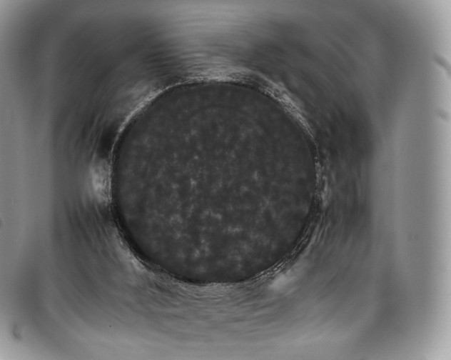 X0000098040012200804071453