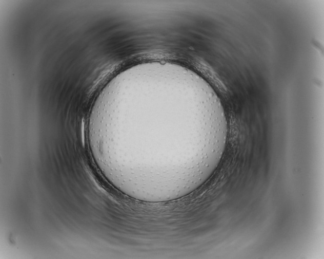 X0000098040014200804071453