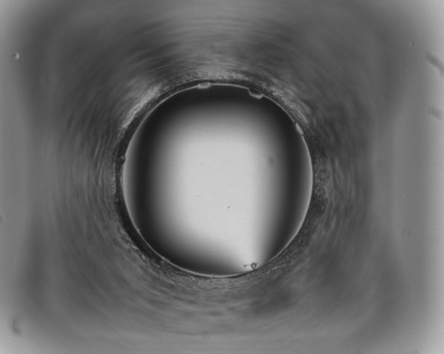 X0000098040015200804071453