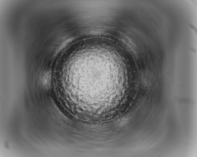 X0000098040016200804071453