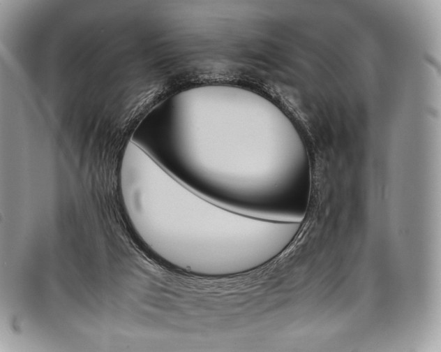 X0000098040017200804071453