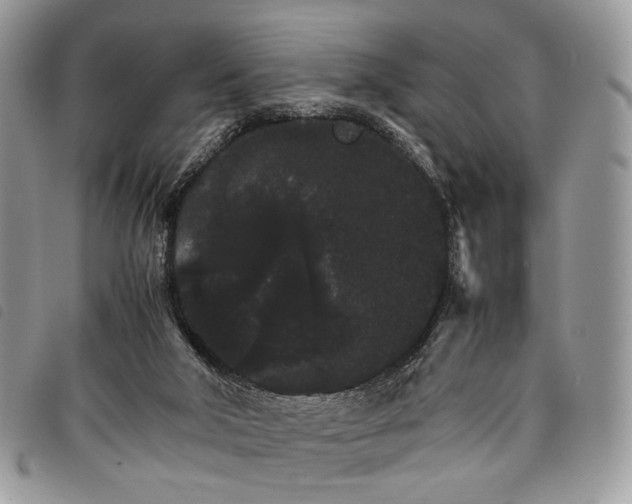 X0000098040018200804071453