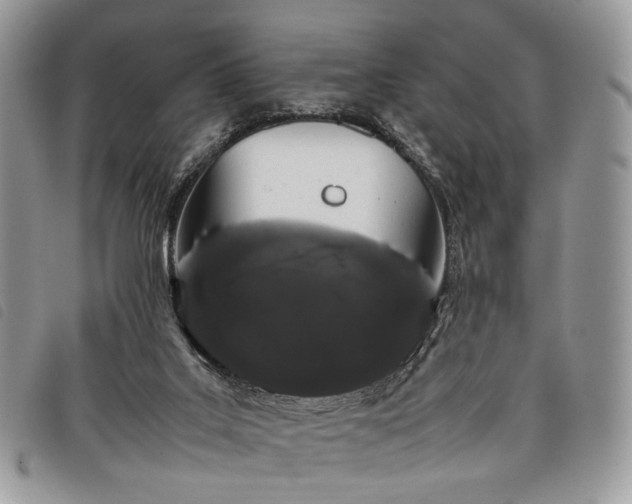 X0000098040019200804071453