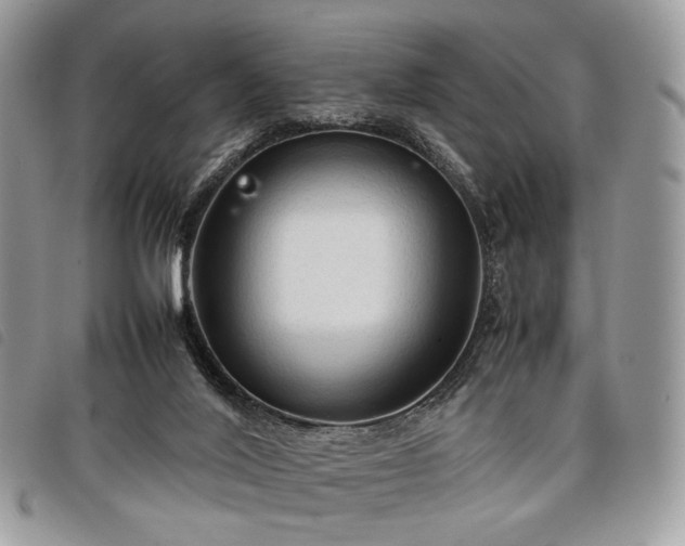 X0000098040020200804071453