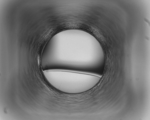 X0000098040021200804071453
