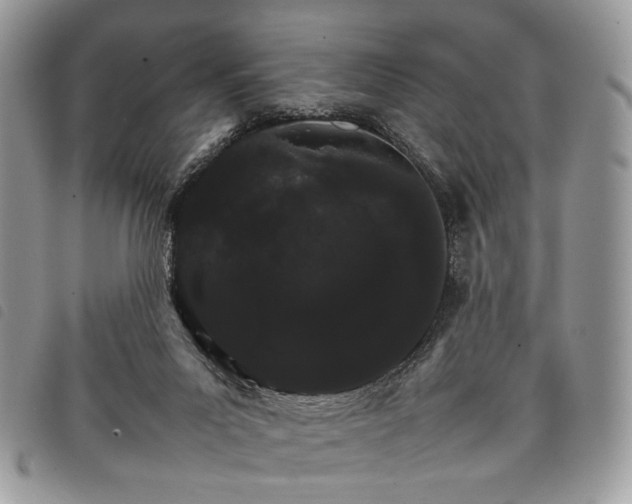 X0000098040023200804071453