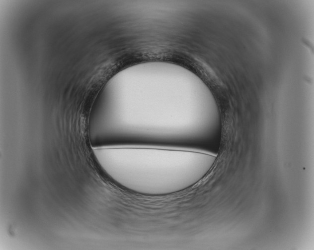 X0000098040025200804071453