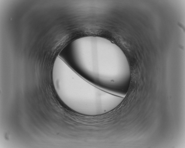 X0000098040027200804071453