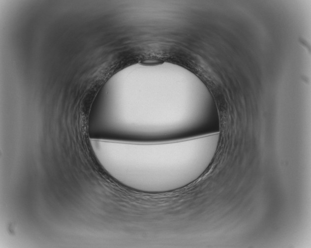 X0000098040029200804071453