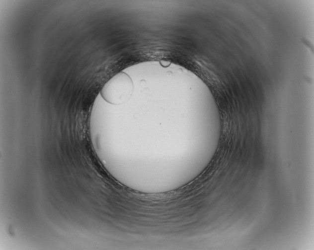 X0000098040030200804071453