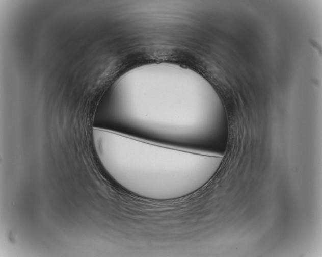 X0000098040031200804071453