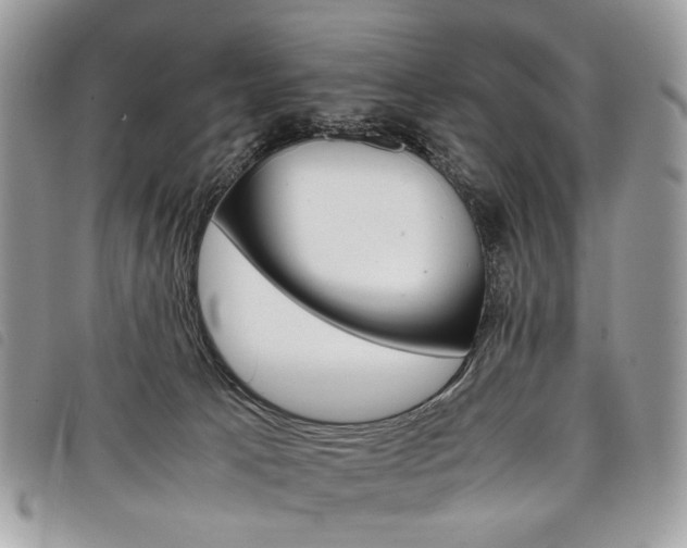 X0000098040033200804071453