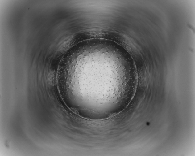 X0000098040034200804071453