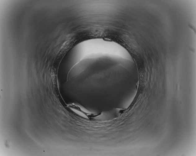 X0000098040035200804071453