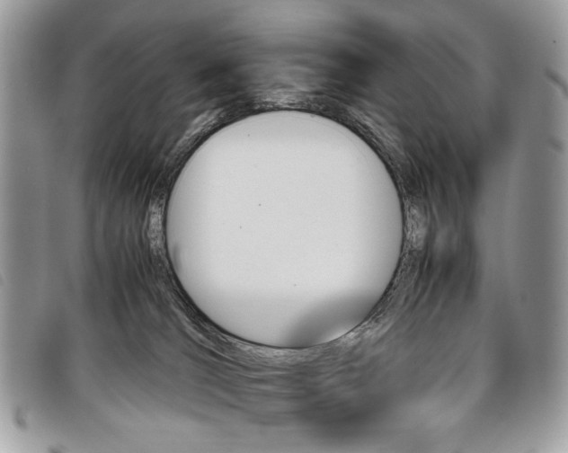 X0000098040036200804071453