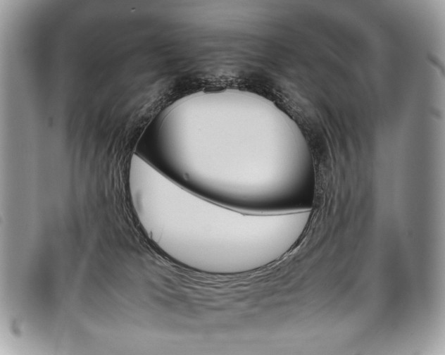 X0000098040037200804071453