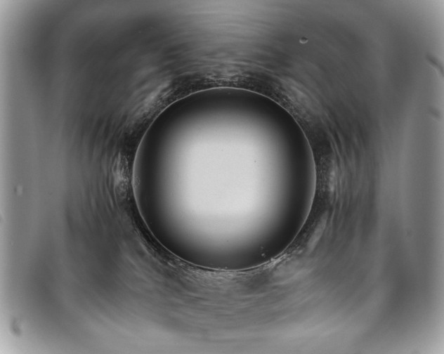 X0000098040040200804071453