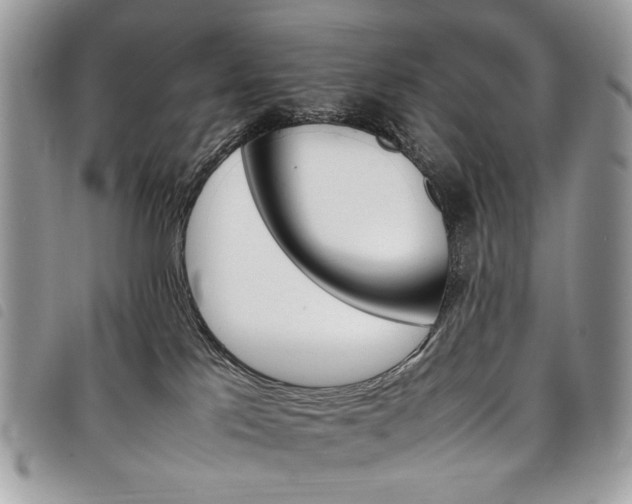 X0000098040041200804071453