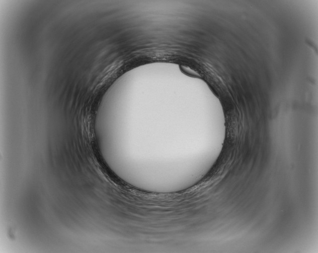 X0000098040044200804071453