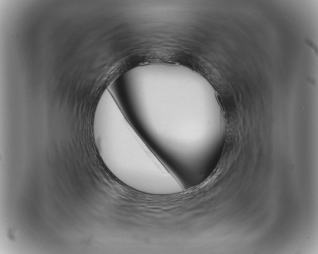 X0000098040045200804071453