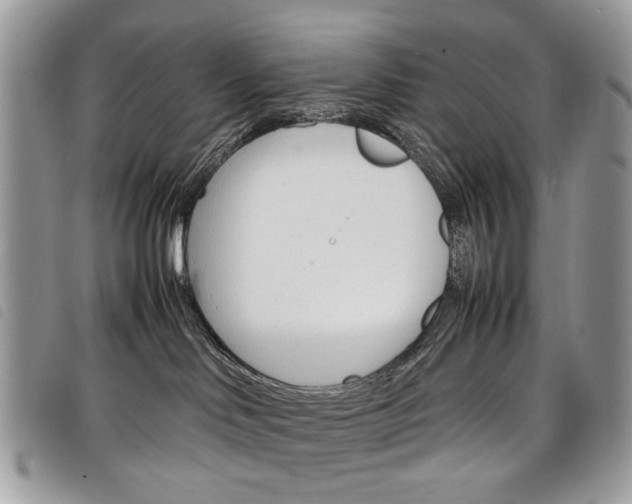 X0000098040046200804071453