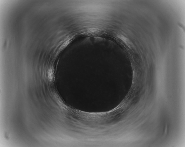 X0000098040048200804071453