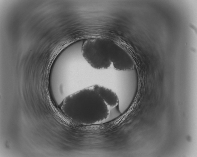 X0000098040049200804071452