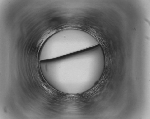 X0000098040050200804071452