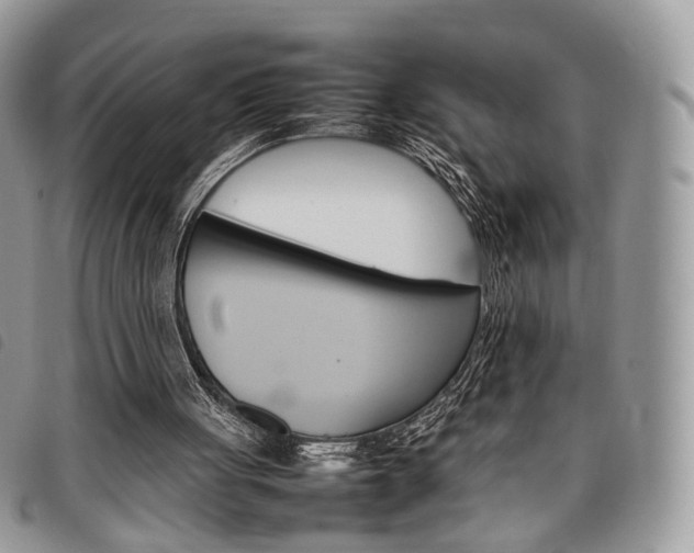 X0000098040051200804071452