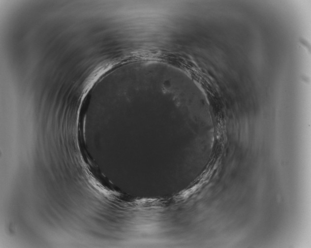 X0000098040052200804071452