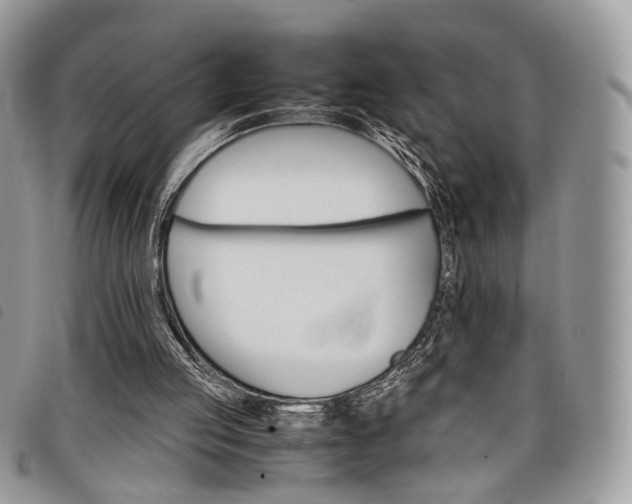 X0000098040053200804071452