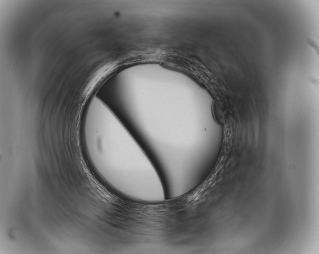 X0000098040054200804071452
