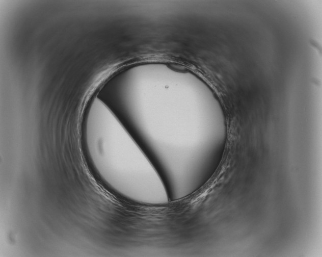 X0000098040055200804071452