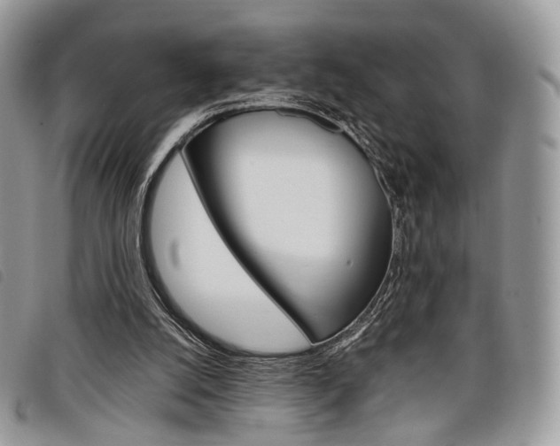 X0000098040056200804071452