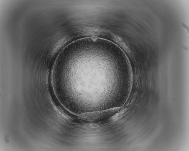 X0000098040058200804071452